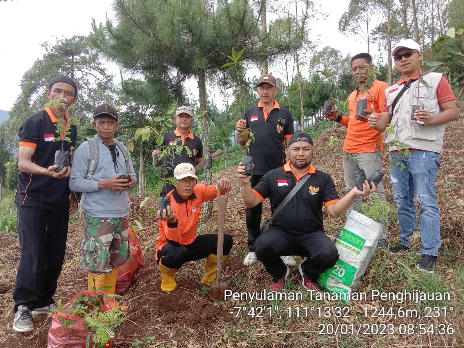 PENYULAMAN TANAMAN PENGHIJAUAN